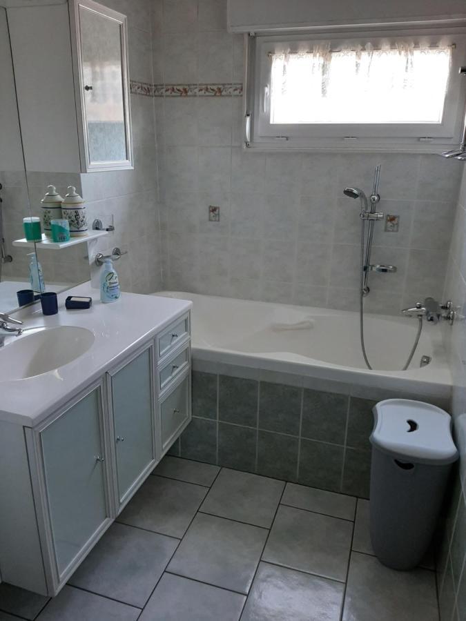 Gite Chez Lucie Guntzviller Екстериор снимка